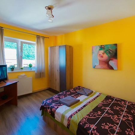 Luna Apartment 브라쇼브 외부 사진