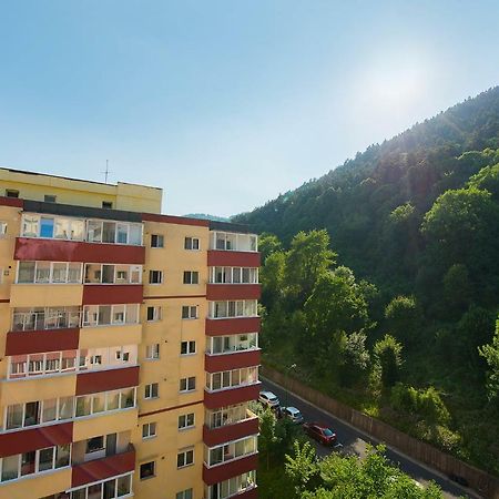Luna Apartment 브라쇼브 외부 사진