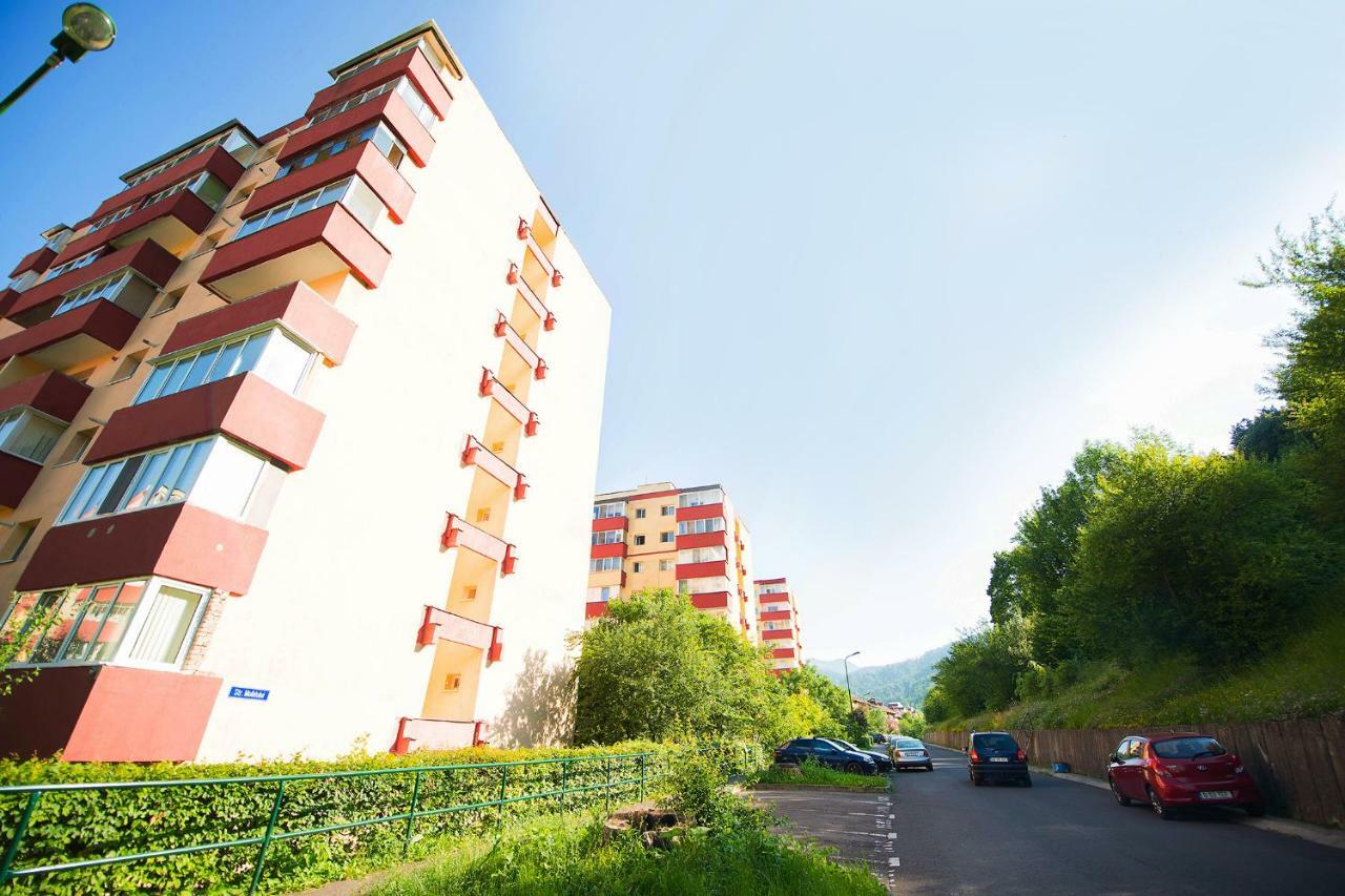 Luna Apartment 브라쇼브 외부 사진