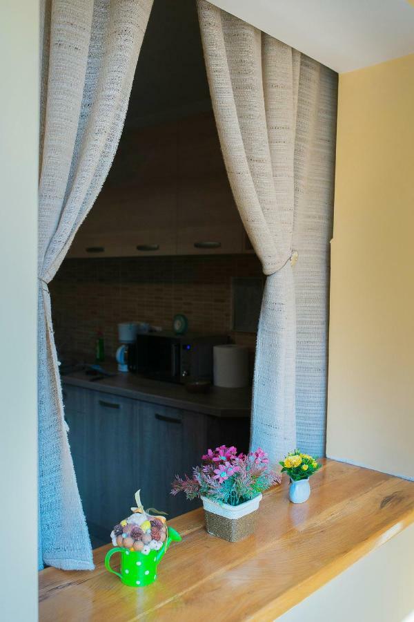 Luna Apartment 브라쇼브 외부 사진