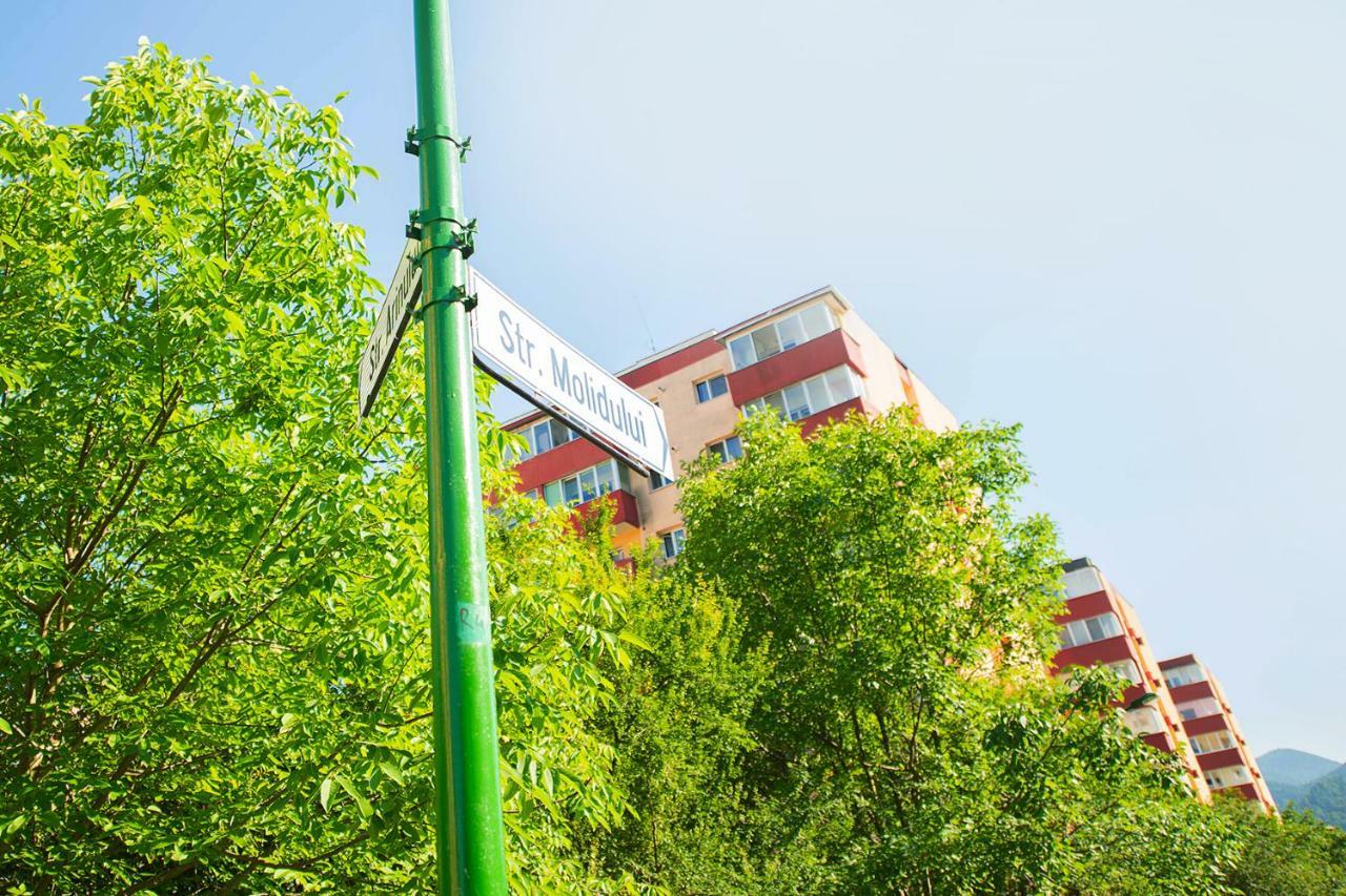 Luna Apartment 브라쇼브 외부 사진