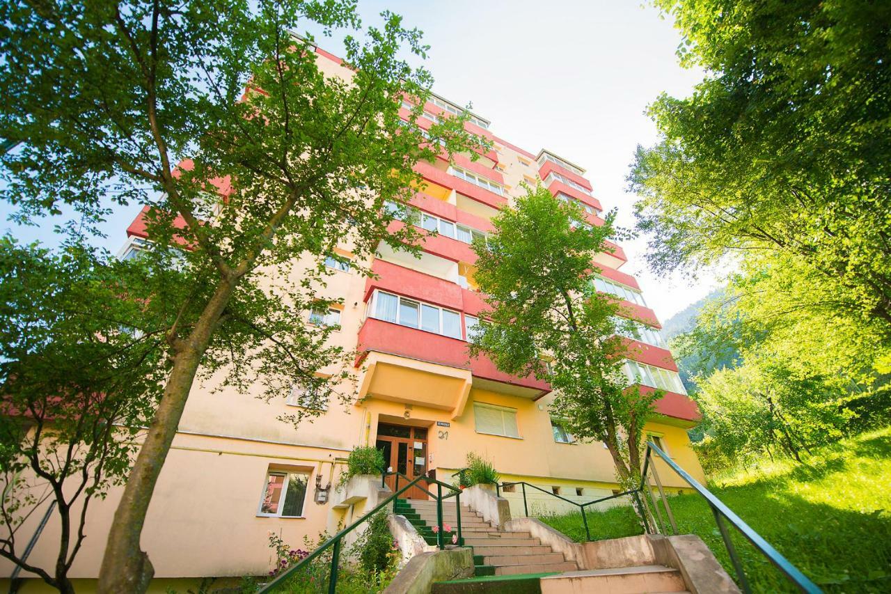 Luna Apartment 브라쇼브 외부 사진